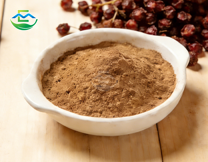 Schisandra Chinensis Berry Extract Powder